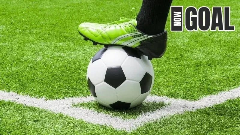 Đặc điểm của tỷ lệ cược thắng